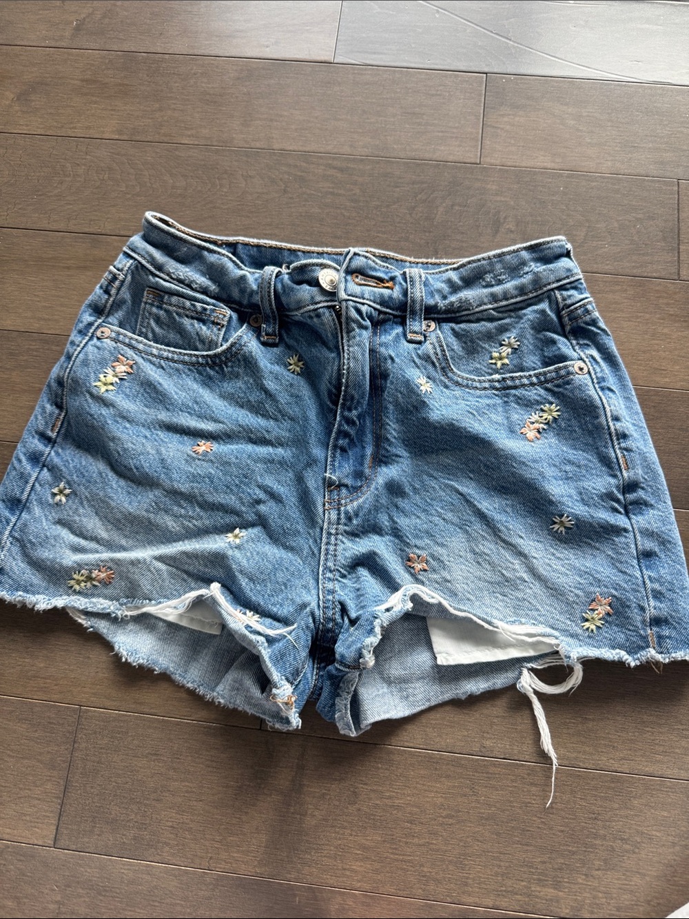 American Eagle Outfitters Blue Denim Floral Embroidered Shorts